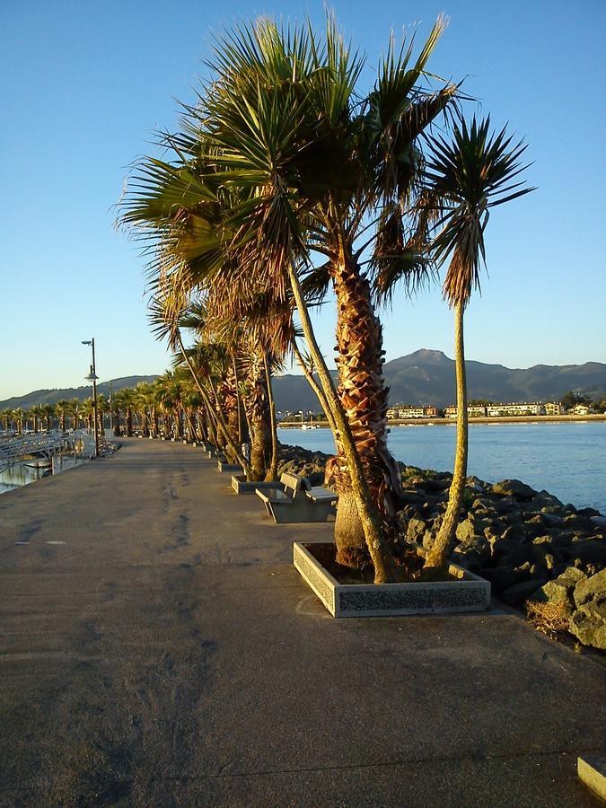 Hotel Valencia Hendaye Bagian luar foto